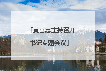 黄喜忠主持召开书记专题会议