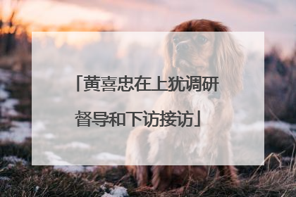 黄喜忠在上犹调研督导和下访接访