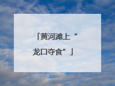 黄河滩上“龙口夺食”