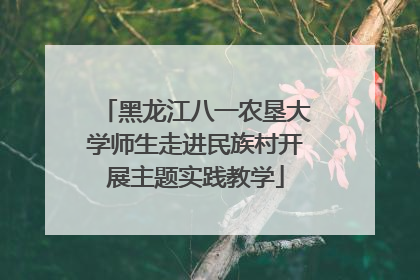 黑龙江八一农垦大学师生走进民族村开展主题实践教学