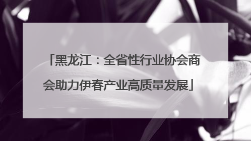 黑龙江：全省性行业协会商会助力伊春产业高质量发展