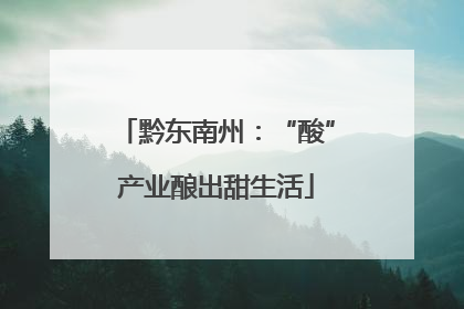 黔东南州：“酸”产业酿出甜生活