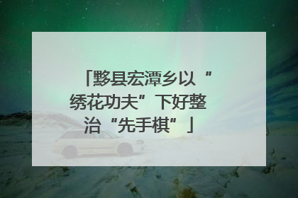 黟县宏潭乡以“绣花功夫”下好整治“先手棋”