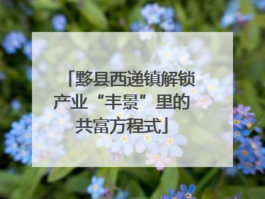黟县西递镇解锁产业“丰景”里的共富方程式
