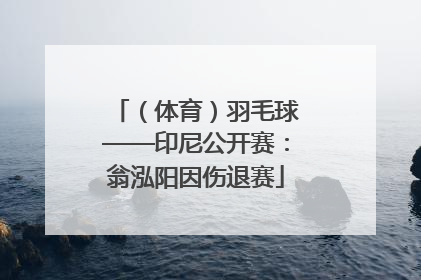 （体育）羽毛球——印尼公开赛：翁泓阳因伤退赛