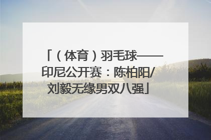 （体育）羽毛球——印尼公开赛：陈柏阳/刘毅无缘男双八强
