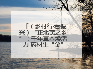 （乡村行·看振兴）“正北芪之乡”：千年草本焕活力 药材生“金”富农家