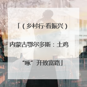 （乡村行·看振兴）内蒙古鄂尔多斯：土鸡“啄”开致富路