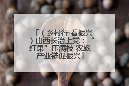 （乡村行·看振兴）山西长治上党：“红果”压满枝 农旅产业链促振兴