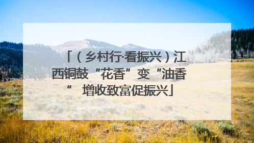 （乡村行·看振兴）江西铜鼓“花香”变“油香” 增收致富促振兴