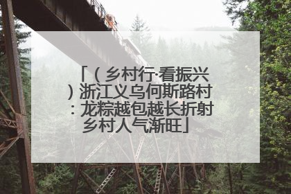 （乡村行·看振兴）浙江义乌何斯路村：龙粽越包越长折射乡村人气渐旺