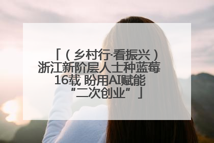 （乡村行·看振兴）浙江新阶层人士种蓝莓16载 盼用AI赋能“二次创业”