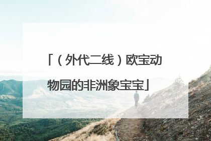 （外代二线）欧宝动物园的非洲象宝宝