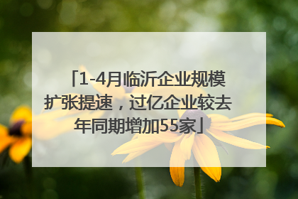 1-4月临沂企业规模扩张提速，过亿企业较去年同期增加55家