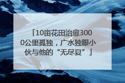 10亩花田治愈3000公里孤独，广水独眼小伙与他的“无尽夏”