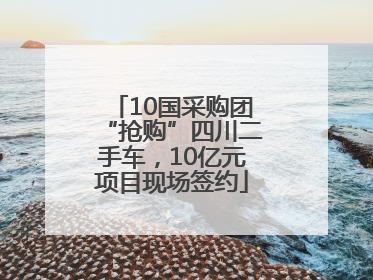 10国采购团“抢购”四川二手车，10亿元项目现场签约