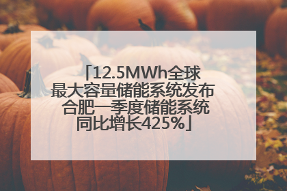 12.5MWh全球最大容量储能系统发布 合肥一季度储能系统同比增长425%