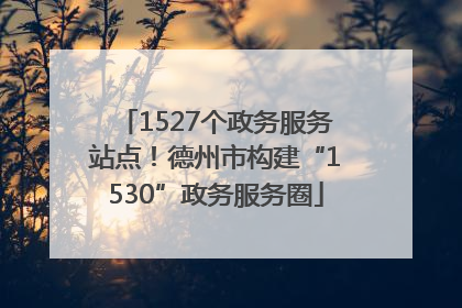 1527个政务服务站点！德州市构建“1530”政务服务圈