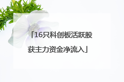 16只科创板活跃股获主力资金净流入