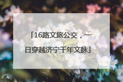 16路文旅公交，一日穿越济宁千年文脉