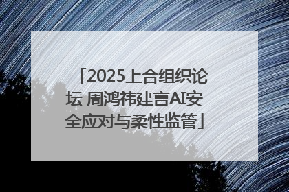 2025上合组织论坛 周鸿祎建言AI安全应对与柔性监管