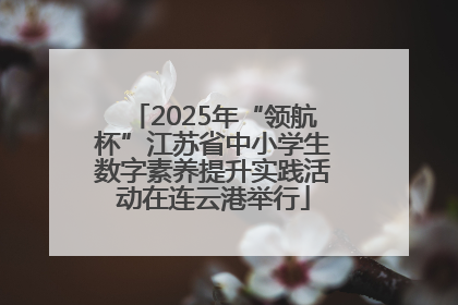 2025年“领航杯”江苏省中小学生数字素养提升实践活动在连云港举行