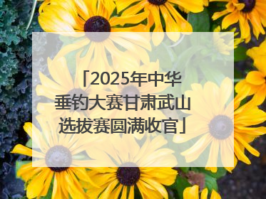 2025年中华垂钓大赛甘肃武山选拔赛圆满收官
