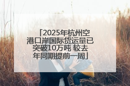 2025年杭州空港口岸国际货运量已突破10万吨 较去年同期提前一周
