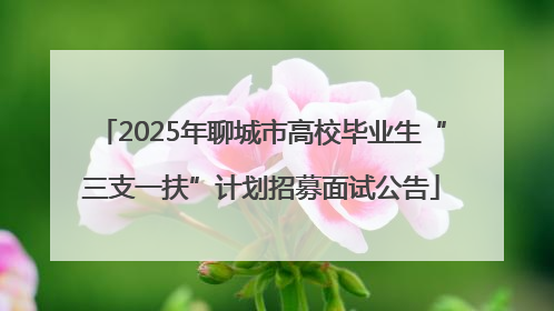 2025年聊城市高校毕业生“三支一扶”计划招募面试公告