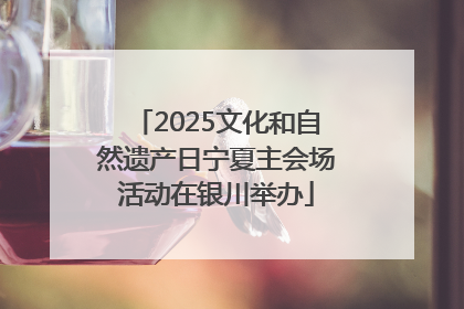 2025文化和自然遗产日宁夏主会场活动在银川举办
