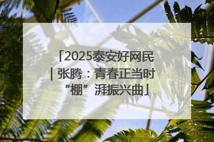 2025泰安好网民｜张腾：青春正当时 “棚”湃振兴曲