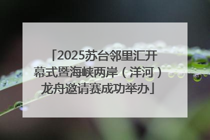 2025苏台邻里汇开幕式暨海峡两岸（洋河）龙舟邀请赛成功举办