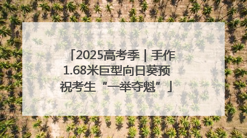 2025高考季｜手作1.68米巨型向日葵预祝考生“一举夺魁”