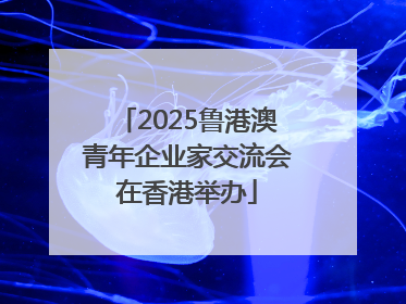 2025鲁港澳青年企业家交流会在香港举办