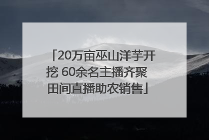 20万亩巫山洋芋开挖 60余名主播齐聚田间直播助农销售