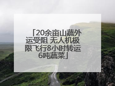 20余亩山蔬外运受阻 无人机极限飞行8小时转运6吨蔬菜