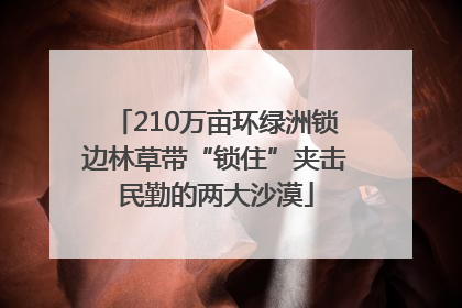 210万亩环绿洲锁边林草带“锁住”夹击民勤的两大沙漠