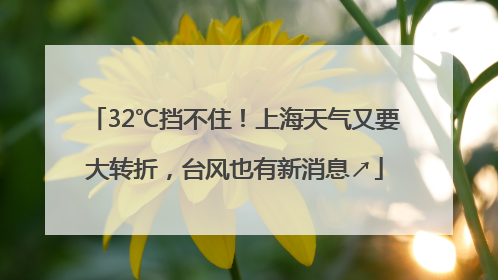 32℃挡不住！上海天气又要大转折，台风也有新消息↗