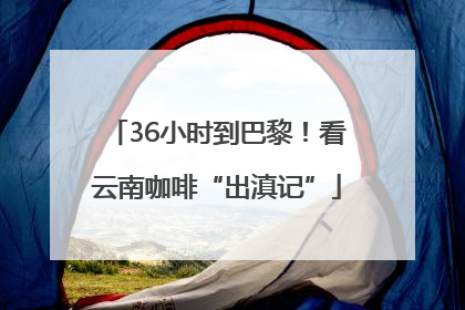 36小时到巴黎！看云南咖啡“出滇记”