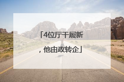 4位厅干履新，他由政转企