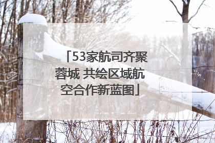 53家航司齐聚蓉城 共绘区域航空合作新蓝图