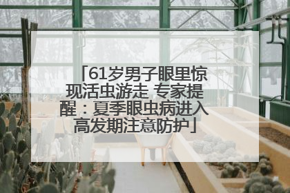 61岁男子眼里惊现活虫游走 专家提醒：夏季眼虫病进入高发期注意防护