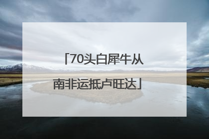 70头白犀牛从南非运抵卢旺达
