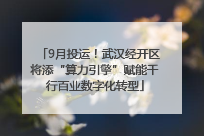9月投运！武汉经开区将添“算力引擎”赋能千行百业数字化转型