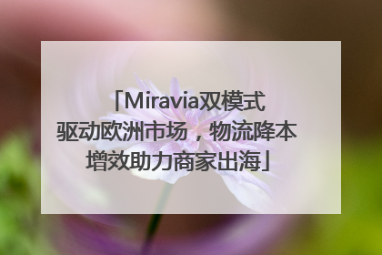 Miravia双模式驱动欧洲市场，物流降本增效助力商家出海