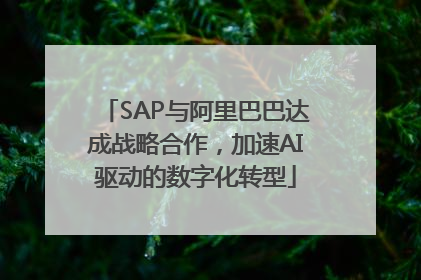 SAP与阿里巴巴达成战略合作，加速AI驱动的数字化转型
